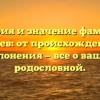 История и значение фамилии Контаев: от происхождения до склонения — все о вашей родословной.