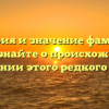 История и значение фамилии Четов: узнайте о происхождении и склонении этого редкого имени