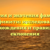 История и значения фамилии Инфинити: исследование происхождения и правильного склонения