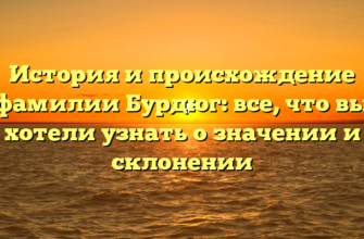 История и происхождение фамилии Бурдюг: все, что вы хотели узнать о значении и склонении