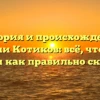История и происхождение фамилии Котиков: всё, что нужно знать и как правильно склонять