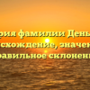 История фамилии Деньгина: происхождение, значение и правильное склонение