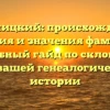 Княгницкий: происхождение, история и значения фамилии. Подробный гайд по склонению для вашей генеалогической истории