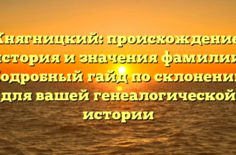 Княгницкий: происхождение, история и значения фамилии. Подробный гайд по склонению для вашей генеалогической истории