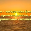 Кукуля — загадочная фамилия: история происхождения, значение и правильное склонение