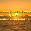 Происхождение и значение фамилии Чудопал: история и склонение семейного имени