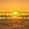 Происхождение, история и значение фамилии Цопанова: изучаем склонение и корни
