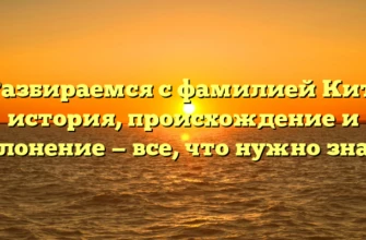 Разбираемся с фамилией Кит: история, происхождение и склонение — все, что нужно знать Разбираемся с фамилией Кит: история, происхождение и склонение — все, что нужно знать