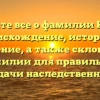 Узнайте все о фамилии Карра: происхождение, история и значение, а также склонение фамилии для правильной передачи наследственности.