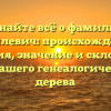 Узнайте всё о фамилии Данилевич: происхождение, история, значение и склонение для вашего генеалогического дерева