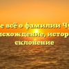 Узнайте всё о фамилии Чувахин: происхождение, история и склонение