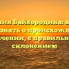 Фамилия Байбородина: все, что нужно знать о происхождении и значении, с правильным склонением