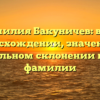 Фамилия Бакуничев: всё о происхождении, значении и правильном склонении нашей фамилии