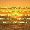 Фамилия Балдай: исследуем происхождение, историю и значение фамилии, а также склонение для правильного использования
