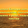Фамилия Балюра: история возникновения, значение и склонение в роде, падежах и числах