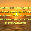 Фамилия Бандурко: о происхождении, истории и значении фамилии — полный гайд по склонению для родственников и генеалогов
