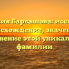 Фамилия Барбашова: исследуем происхождение, значение и склонение этой уникальной фамилии