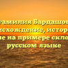 Фамилия Бардашов: происхождение, история и значение на примере склонения в русском языке