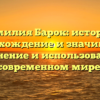 Фамилия Барок: история, происхождение и значимость. Склонение и использование в современном мире.
