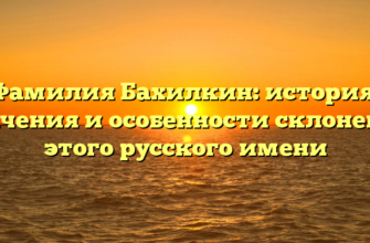 Фамилия Бахилкин: история, значения и особенности склонения этого русского имени Фамилия Бахилкин: история, значения и особенности склонения этого русского имени