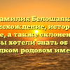 Фамилия Белошапко: происхождение, история и значение, а также склонение — все, что вы хотели знать об этом редком родовом имени