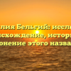 Фамилия Бельгий: исследуем происхождение, историю и склонение этого названия