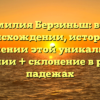 Фамилия Берзиньш: всё о происхождении, истории и значении этой уникальной фамилии + склонение в разных падежах