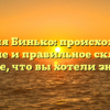Фамилия Бинько: происхождение, значение и правильное склонение — все, что вы хотели знать
