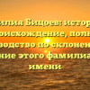 Фамилия Бицоев: история и происхождение, полное руководство по склонению и значение этого фамилиарного имени