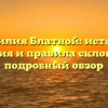 Фамилия Блатной: история, значения и правила склонения — подробный обзор