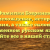 Фамилия Бобринев: происхождение, история и значения, а также склонение в современном русском языке — узнайте все в нашей статье!