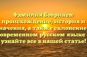Фамилия Бобринев: происхождение, история и значения, а также склонение в современном русском языке — узнайте все в нашей статье!