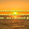Фамилия Богданкевич: история происхождения, значение и склонение – все о редкой фамилии