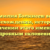 Фамилия Болкисев: всё о происхождении, истории и значении этого имени с подробным склонением