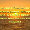 Фамилия Болконский: происхождение, история и значения, а также правильное склонение для именительного падежа