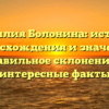 Фамилия Болонина: история происхождения и значения, правильное склонение и интересные факты