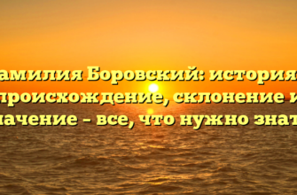 Фамилия Боровский: история и происхождение, склонение и значение – все, что нужно знать.