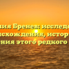 Фамилия Бренев: исследование происхождения, истории и склонения этого редкого имени