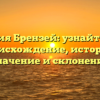 Фамилия Брензей: узнайте про ее происхождение, историю, значение и склонение