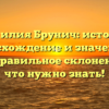 Фамилия Брунич: история, происхождение и значение, а также правильное склонение – всё, что нужно знать!