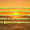Фамилия Бруцкий-Стемпковский: все, что нужно знать о происхождении, истории, значении и склонении этого редкого фамилиарного имени