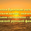 Фамилия Брычков: история, происхождение, значение и правильное склонение — узнайте все о важной русской фамилии!