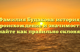 Фамилия Будакова: история, происхождение и значимость, узнайте как правильно склонять!
