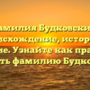 Фамилия Будковский: происхождение, история и значение. Узнайте как правильно склонять фамилию Будковский.