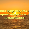 Фамилия Буну: все, что нужно знать о происхождении, истории и склонении