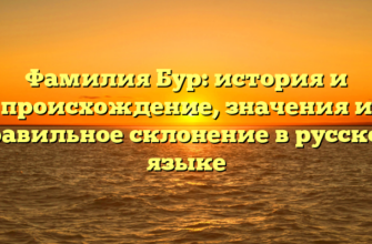 Фамилия Бур: история и происхождение, значения и правильное склонение в русском языке