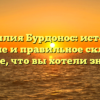 Фамилия Бурдонос: история, значение и правильное склонение — все, что вы хотели знать