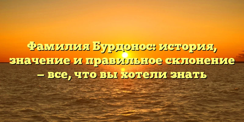 Фамилия Бурдонос: история, значение и правильное склонение — все, что вы хотели знать Фамилия Бурдонос: история, значение и правильное склонение — все, что вы хотели знать