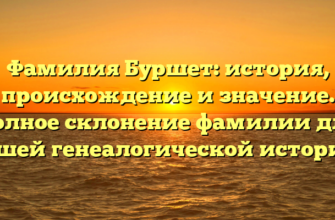 Фамилия Буршет: история, происхождение и значение. Полное склонение фамилии для вашей генеалогической истории.