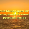 Фамилия Быкадоров: история, происхождение и склонение в русском языке